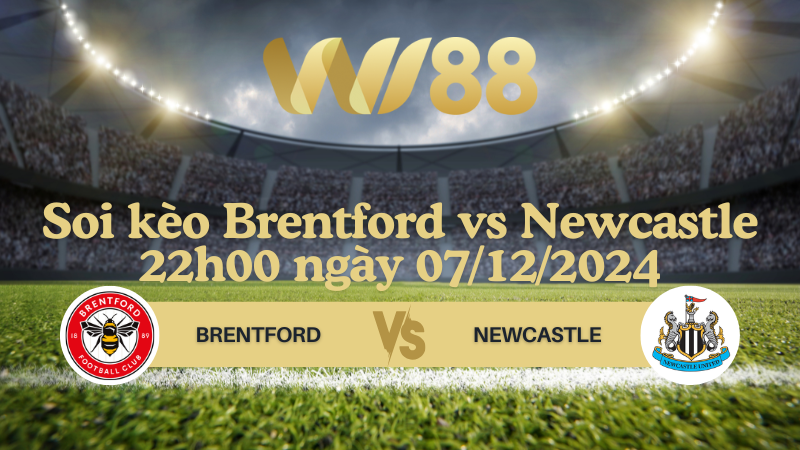Soi kèo Brentford vs Newcastle 22h00 ngày 07/12/2024 - Ngoại Hạng Anh