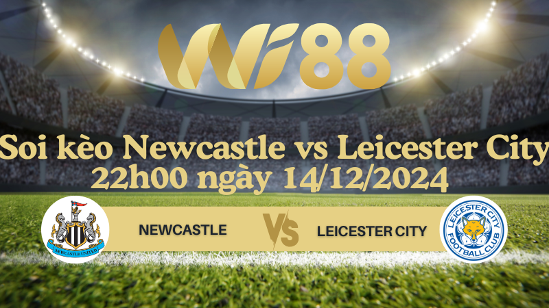 Soi kèo Newcastle vs Leicester City 22h00 ngày 14/12/2024 - Ngoại Hạng Anh