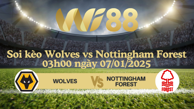 Soi kèo Wolves vs Nottingham Forest 03h00 ngày 07/01/2025 - Ngoại Hạng Anh 