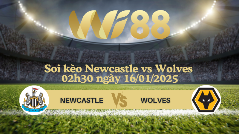 Soi kèo Newcastle vs Wolves 02h30 ngày 16/01/2025 - Ngoại Hạng Anh 