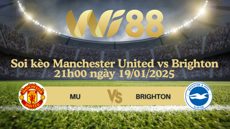 Soi kèo Manchester United vs Brighton 21h00 ngày 19/01/2025 - Ngoại Hạng Anh
