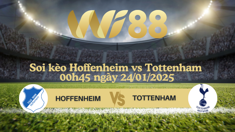 Soi kèo Hoffenheim vs Tottenham 00h45 ngày 24/01/2025 - Europa League