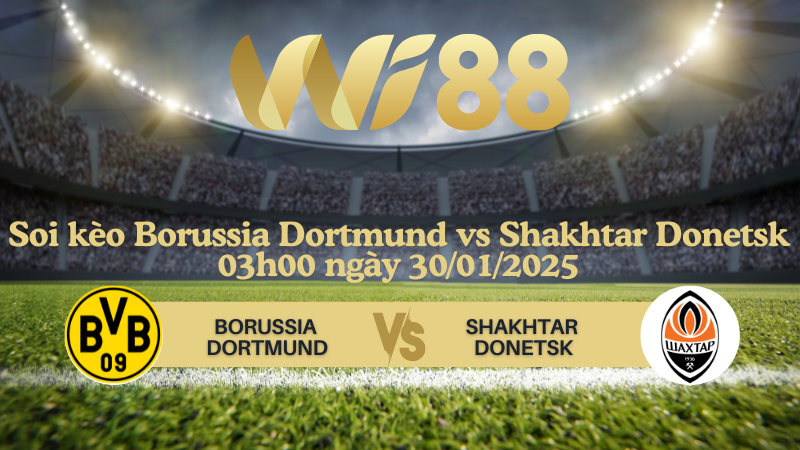 Soi kèo Borussia Dortmund vs Shakhtar Donetsk 03h00 ngày 30/01/2025 - Champions League