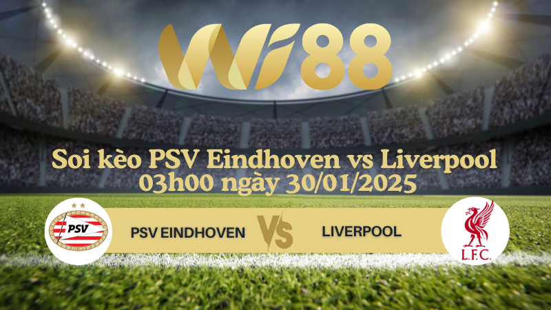 Soi kèo PSV Eindhoven vs Liverpool 03h00 ngày 30/01/2025 - Champions League