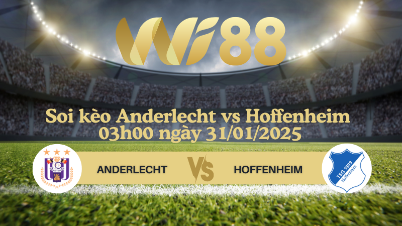 Soi kèo Anderlecht vs Hoffenheim 03h00 ngày 31/01/2025 - Europa League