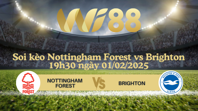 Soi kèo Nottingham Forest vs Brighton 19h30 ngày 01/02/2025 - Ngoại Hạng Anh