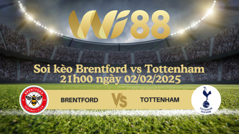 Soi kèo Brentford vs Tottenham 21h00 ngày 02/02/2025 - Ngoại Hạng Anh