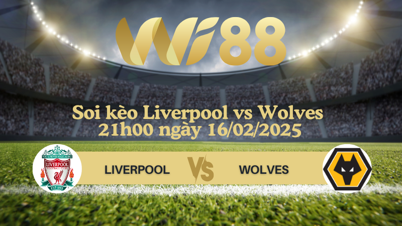 Soi kèo Liverpool vs Wolves 21h00 ngày 16/02/2025 - Ngoại Hạng Anh