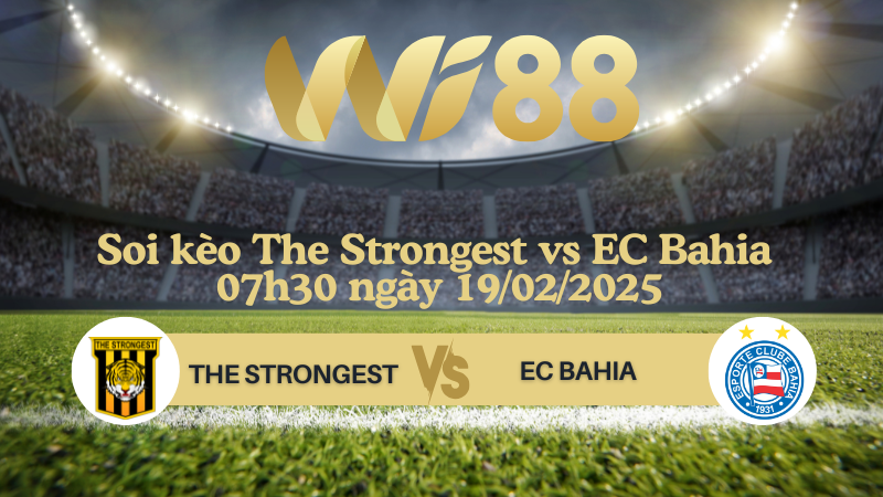Soi kèo The Strongest vs EC Bahia 07h30 ngày 19/02/2025 - Copa Libertadores