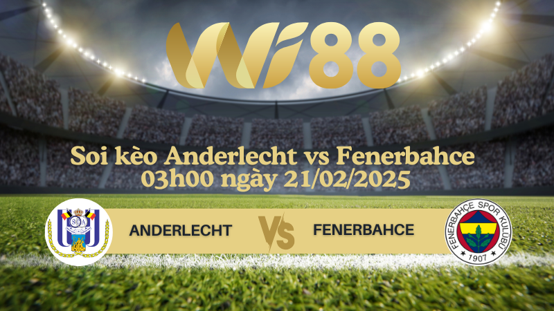 Soi kèo Anderlecht vs Fenerbahce 03h00 ngày 21/02/2025 - Champions League