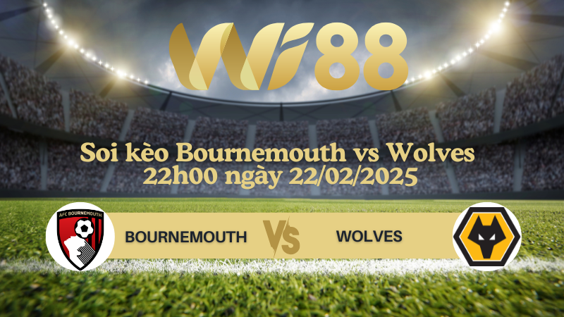 Soi kèo Bournemouth vs Wolves 22h00 ngày 22/02/2025 - Ngoại Hạng Anh