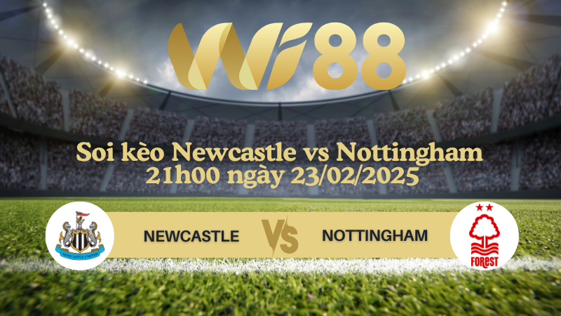 Soi kèo Newcastle vs Nottingham 21h00 ngày 23/02/2025 - Ngoại Hạng Anh