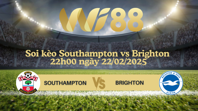 Soi kèo Southampton vs Brighton 22h00 ngày 22/02/2025 - Ngoại Hạng Anh