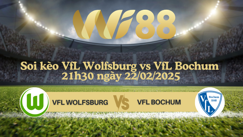 Soi kèo VfL Wolfsburg vs VfL Bochum 21h30 ngày 22/02/2025 - Bundesliga