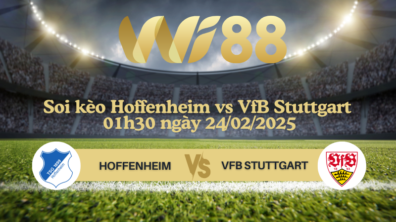 Soi kèo Hoffenheim vs VfB Stuttgart 01h30 ngày 24/02/2025 - Bundesliga
