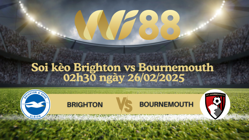 Soi kèo Brighton vs Bournemouth 02h30 ngày 26/02/2025 - Ngoại Hạng Anh
