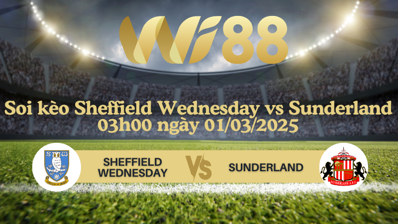 Soi kèo Sheffield Wednesday vs Sunderland 03h00 ngày 01/03/2025 - Hạng Nhất Anh