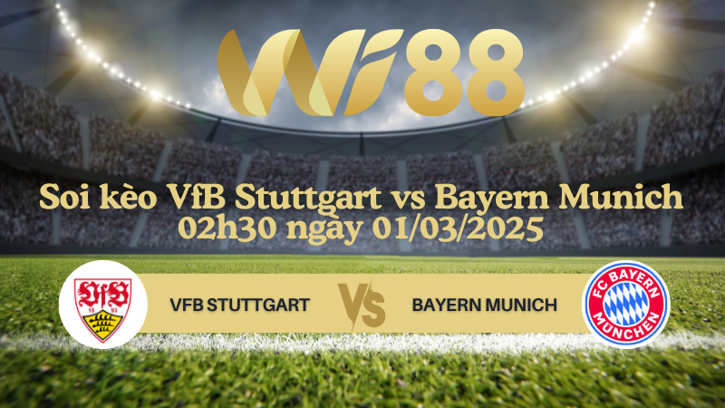 Soi kèo VfB Stuttgart vs Bayern Munich 02h30 ngày 01/03/2025 - Bundesliga