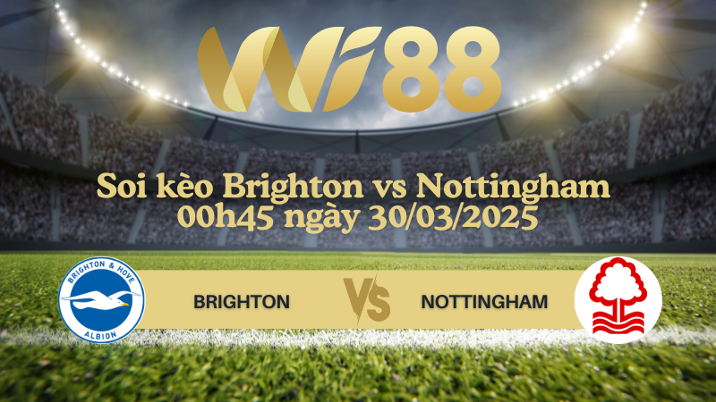 Soi kèo Brighton vs Nottingham 00h45 ngày 30/03/2025 - FA Cup