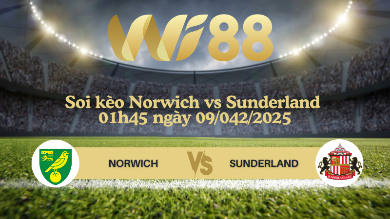 Soi kèo Norwich vs Sunderland 01h45 ngày 09/042/2025 - Hạng nhất Anh