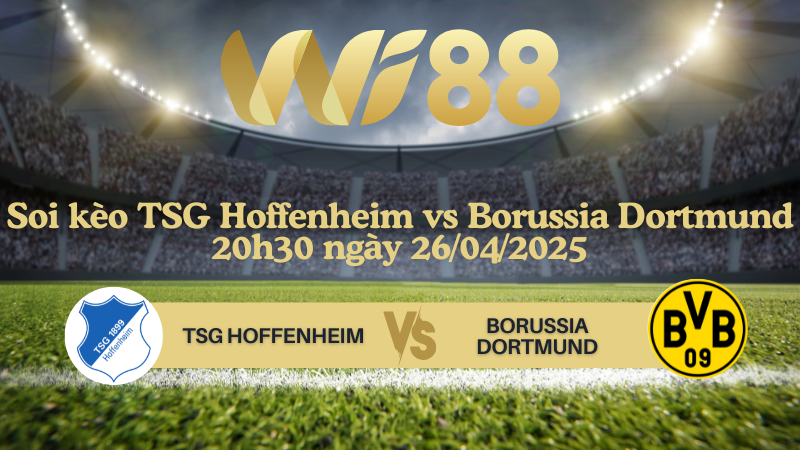 Soi kèo TSG Hoffenheim vs Borussia Dortmund 20h30 ngày 26/04/2025 - Bundesliga