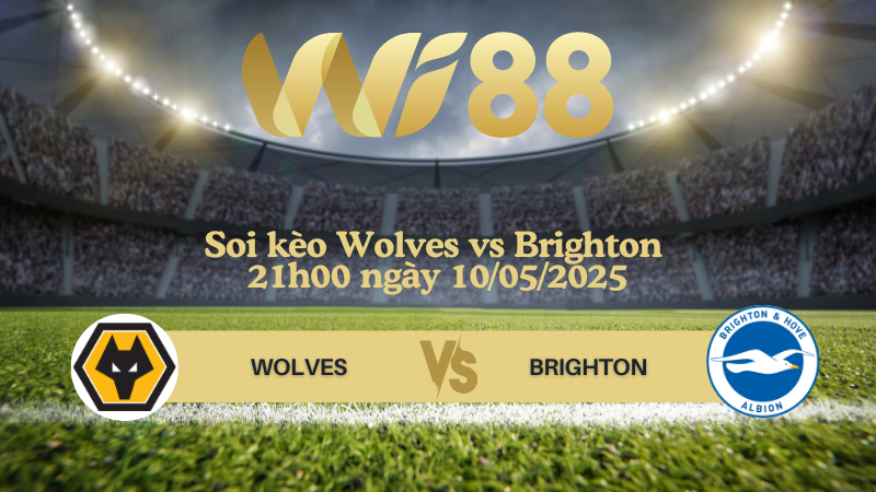 Soi kèo Wolves vs Brighton 21h00 ngày 10/05/2025 - Ngoại hạng Anh