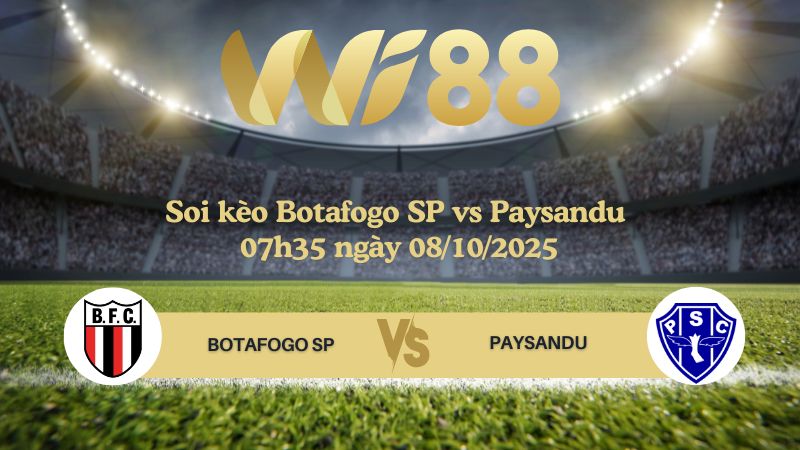 Soi kèo Botafogo SP vs Paysandu 07h35 ngày 08/10/2025 - Serie B Brazil